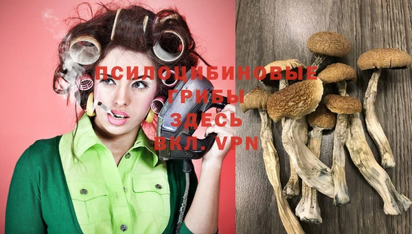 мдпв Белоозёрский