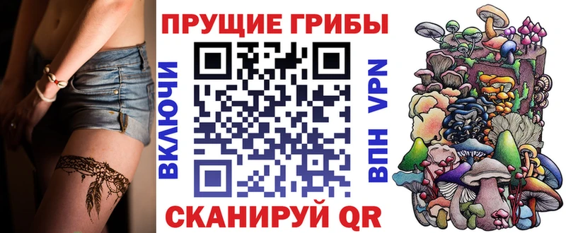Галлюциногенные грибы Psilocybe Светлый